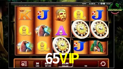 65VIP